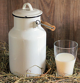 Rohmilch